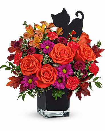 Teleflora's Midnight Magic Bouquet –  Talia Flowers, Ottawa ON