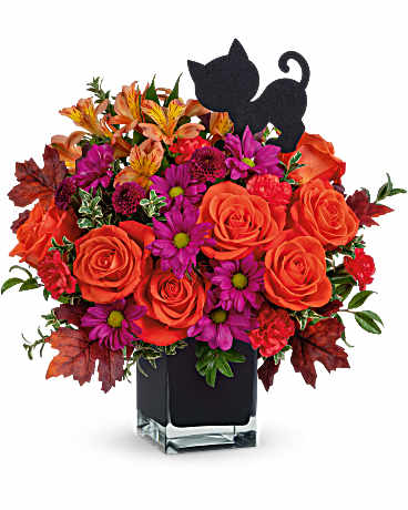 Teleflora's Midnight Magic Bouquet –  Talia Flowers, Ottawa ON