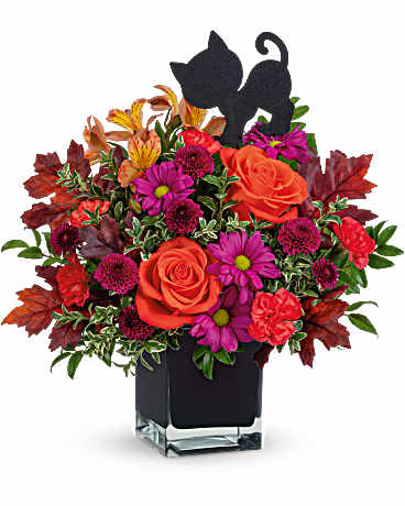 Teleflora's Midnight Magic Bouquet –  Talia Flowers, Ottawa ON