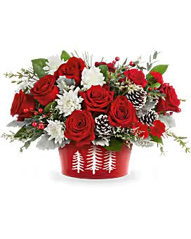Teleflora's Snowy Pines Centerpiece –  Talia Flowers, Ottawa ON