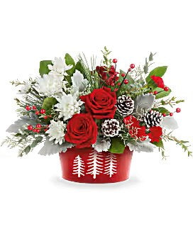 Teleflora's Snowy Pines Centerpiece –  Talia Flowers, Ottawa ON