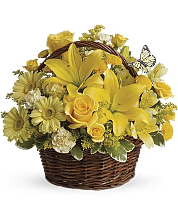 Basket Full of Wishes –  Talia Flowers, Ottawa ON