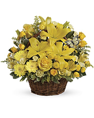 Basket Full of Wishes –  Talia Flowers, Ottawa ON