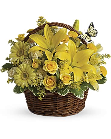 Basket Full of Wishes –  Talia Flowers, Ottawa ON