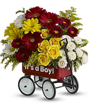 Baby's Wow Wagon by Teleflora - Boy –  Talia Flowers, Ottawa ON