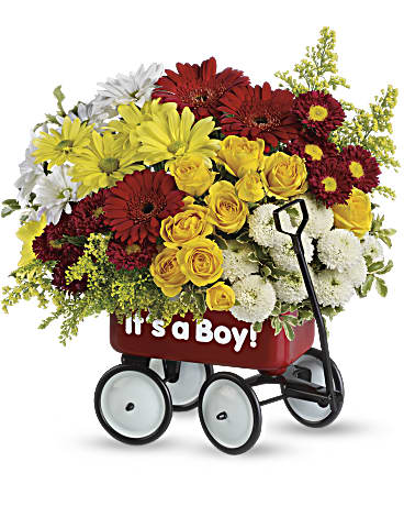 Baby's Wow Wagon by Teleflora - Boy –  Talia Flowers, Ottawa ON