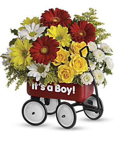 Baby's Wow Wagon by Teleflora - Boy –  Talia Flowers, Ottawa ON