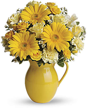 Teleflora's Sunny Day Pitcher of Cheer –  Talia Flowers, Ottawa ON