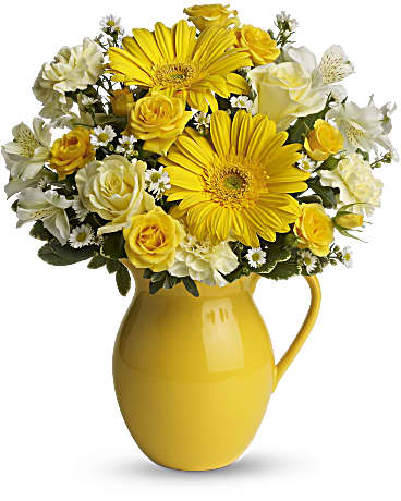 Teleflora's Sunny Day Pitcher of Cheer –  Talia Flowers, Ottawa ON