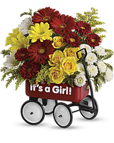 Baby's Wow Wagon by Teleflora - Girl –  Talia Flowers, Ottawa ON
