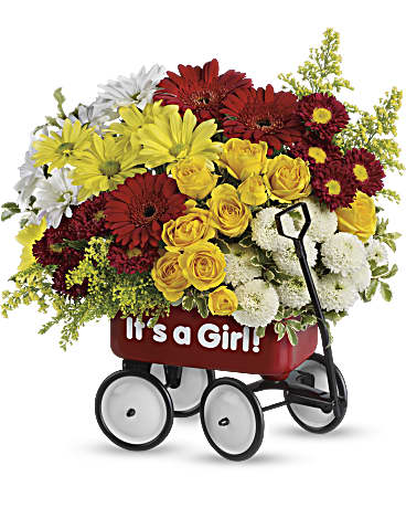 Baby's Wow Wagon by Teleflora - Girl –  Talia Flowers, Ottawa ON