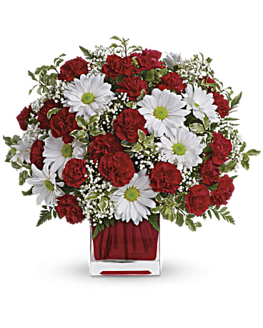 Red And White Delight by Teleflora –  Talia Flowers, Ottawa ON