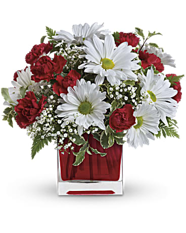 Red And White Delight by Teleflora –  Talia Flowers, Ottawa ON