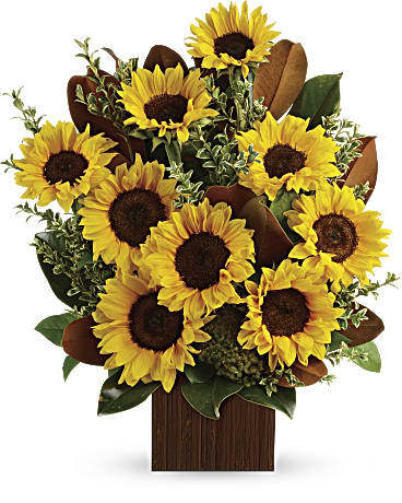 You're Golden Bouquet by Teleflora –  Talia Flowers, Ottawa ON