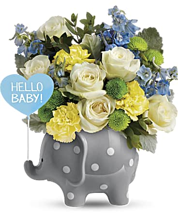 Teleflora's Hello Sweet Baby - Blue –  Talia Flowers, Ottawa ON