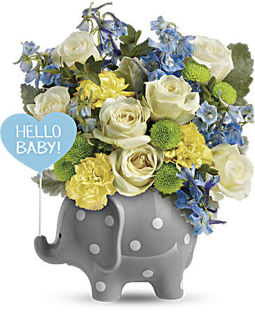 Teleflora's Hello Sweet Baby - Blue –  Talia Flowers, Ottawa ON