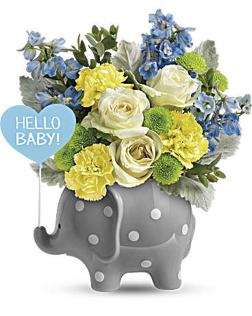 Teleflora's Hello Sweet Baby - Blue –  Talia Flowers, Ottawa ON