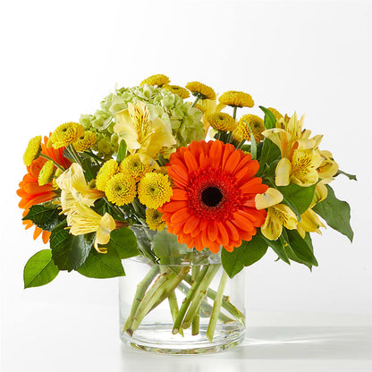 Autumn Sunshine Bouquet –  Talia Flowers, Ottawa ON