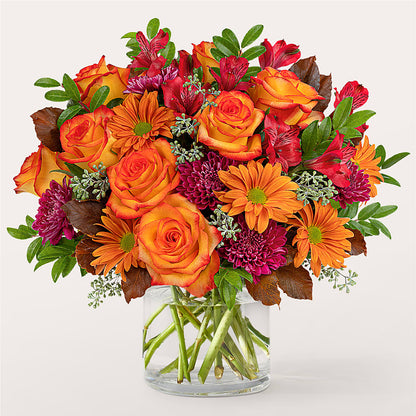 Brisk Morning Bouquet –  Talia Flowers, Ottawa ON