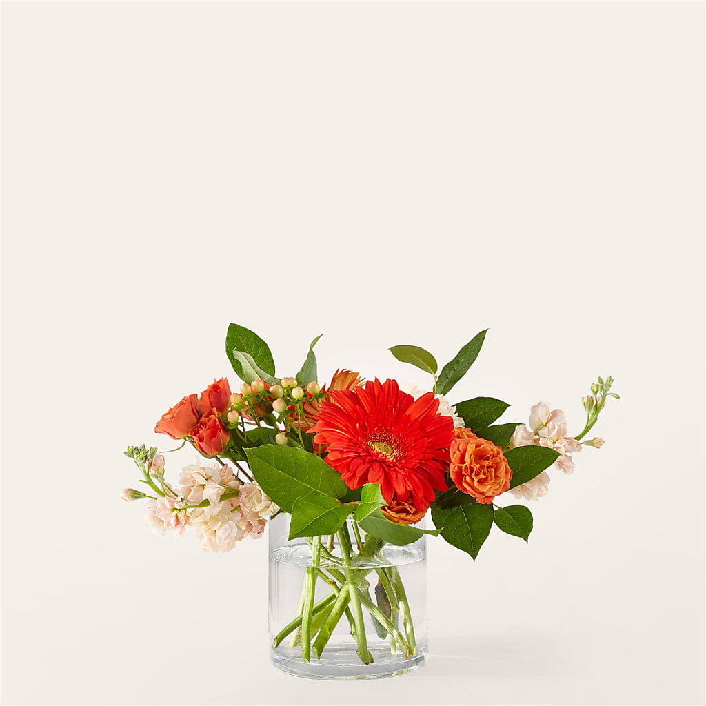 Paloma Please Bouquet –  Talia Flowers, Ottawa ON
