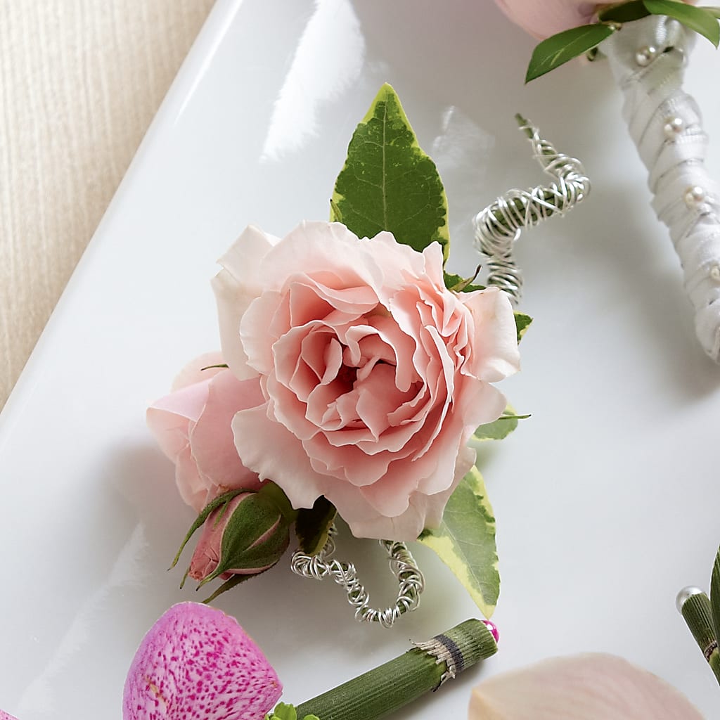 Pink Spray Rose Boutonniere –  Talia Flowers, Ottawa ON