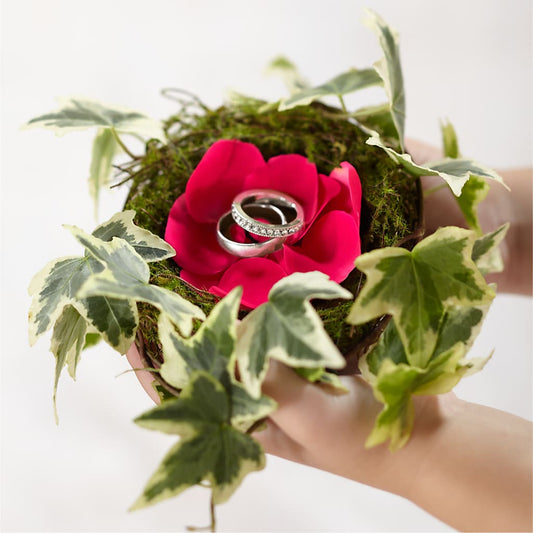 Lila Rose Ring Nest –  Talia Flowers, Ottawa ON