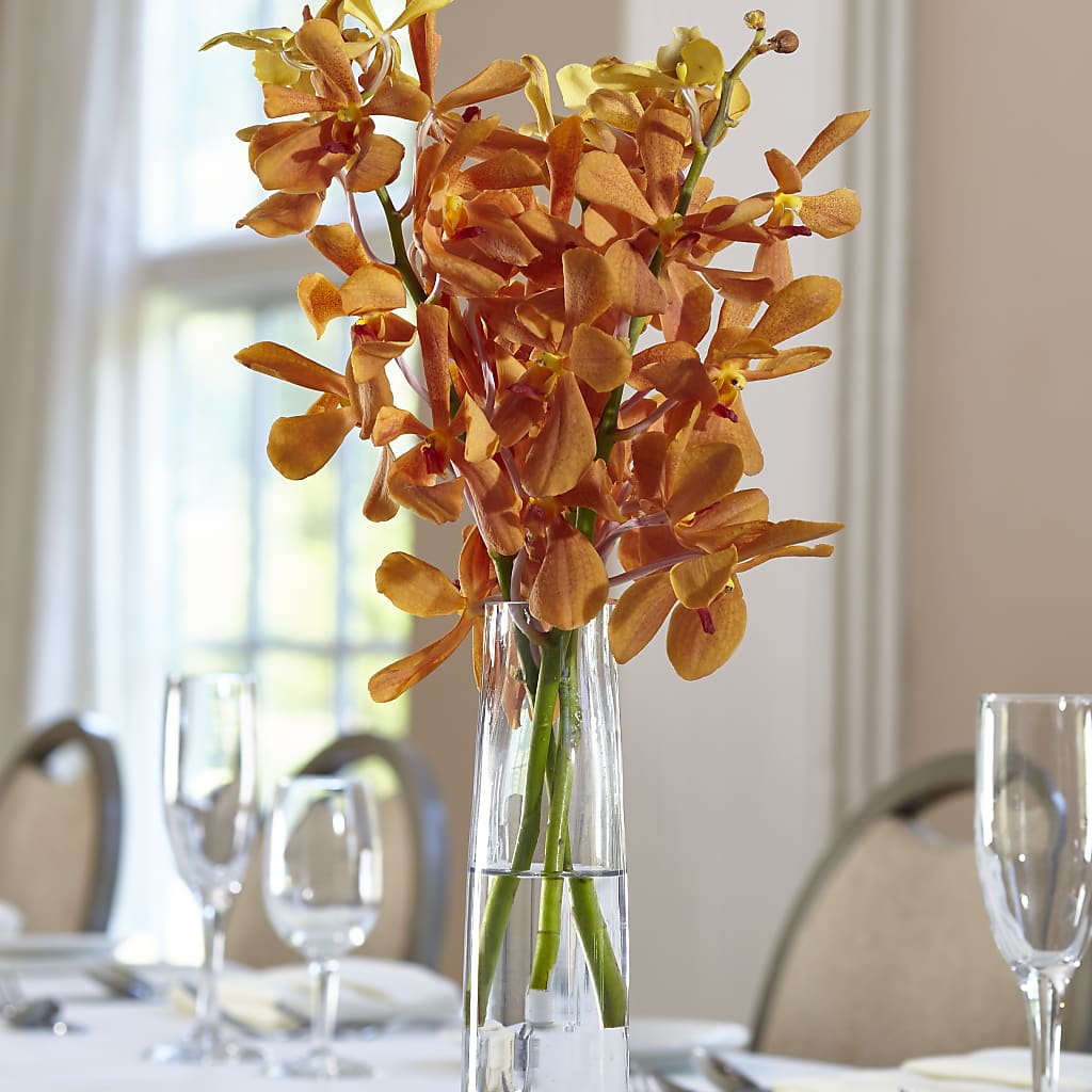 Orange Mokara Bud Vase –  Talia Flowers, Ottawa ON