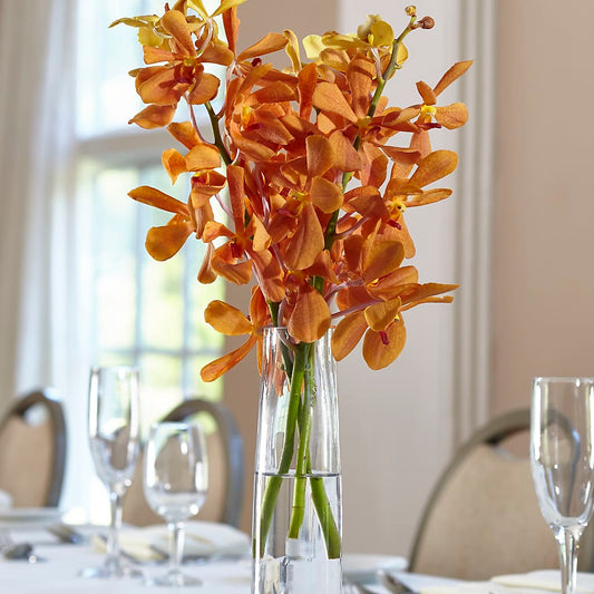Orange Mokara Bud Vase –  Talia Flowers, Ottawa ON