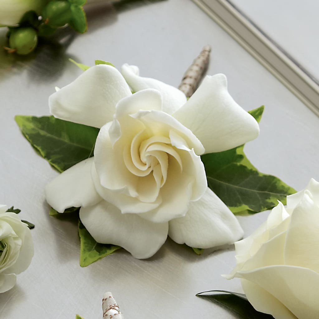 Gardenia Boutonniere –  Talia Flowers, Ottawa ON