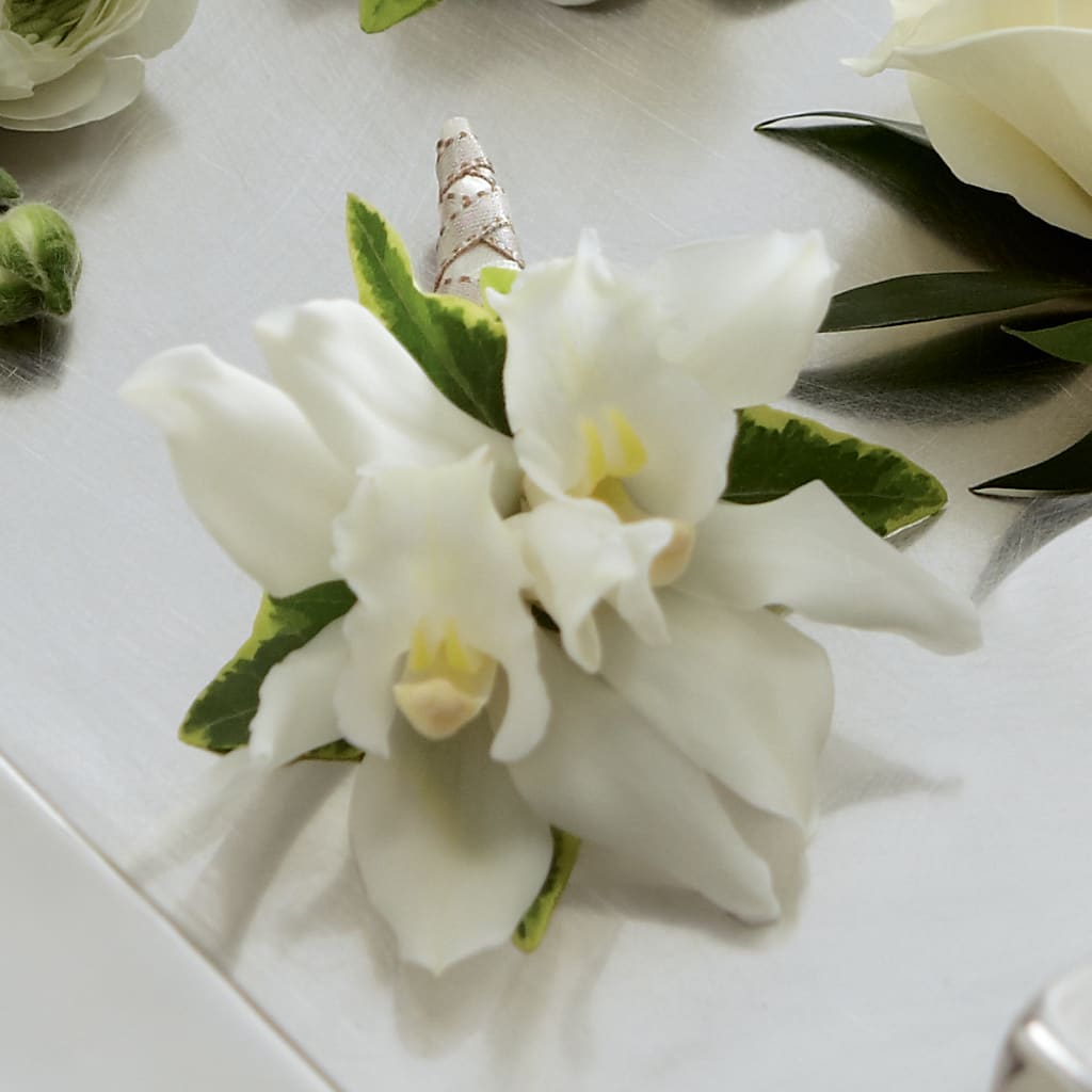 White Mini Cymbidium Boutonniere –  Talia Flowers, Ottawa ON