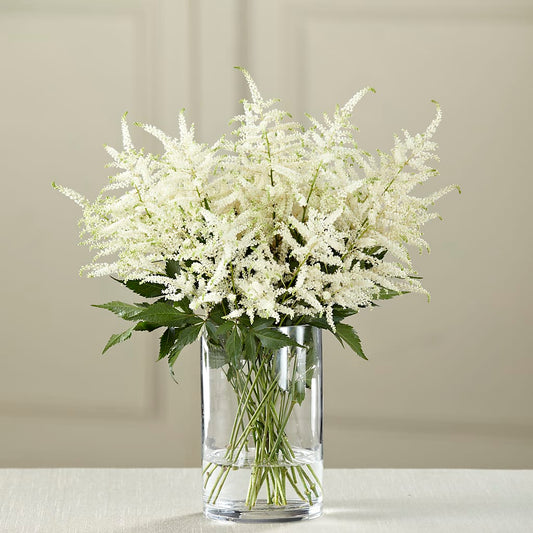 White Astilbe Bouquet –  Talia Flowers, Ottawa ON