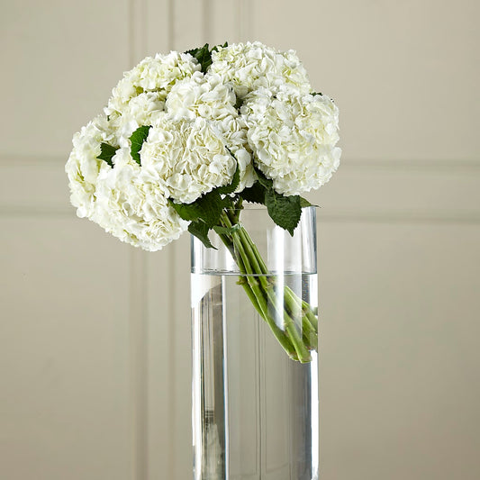 White Hydrangea Hand-Tied Bouquet –  Talia Flowers, Ottawa ON