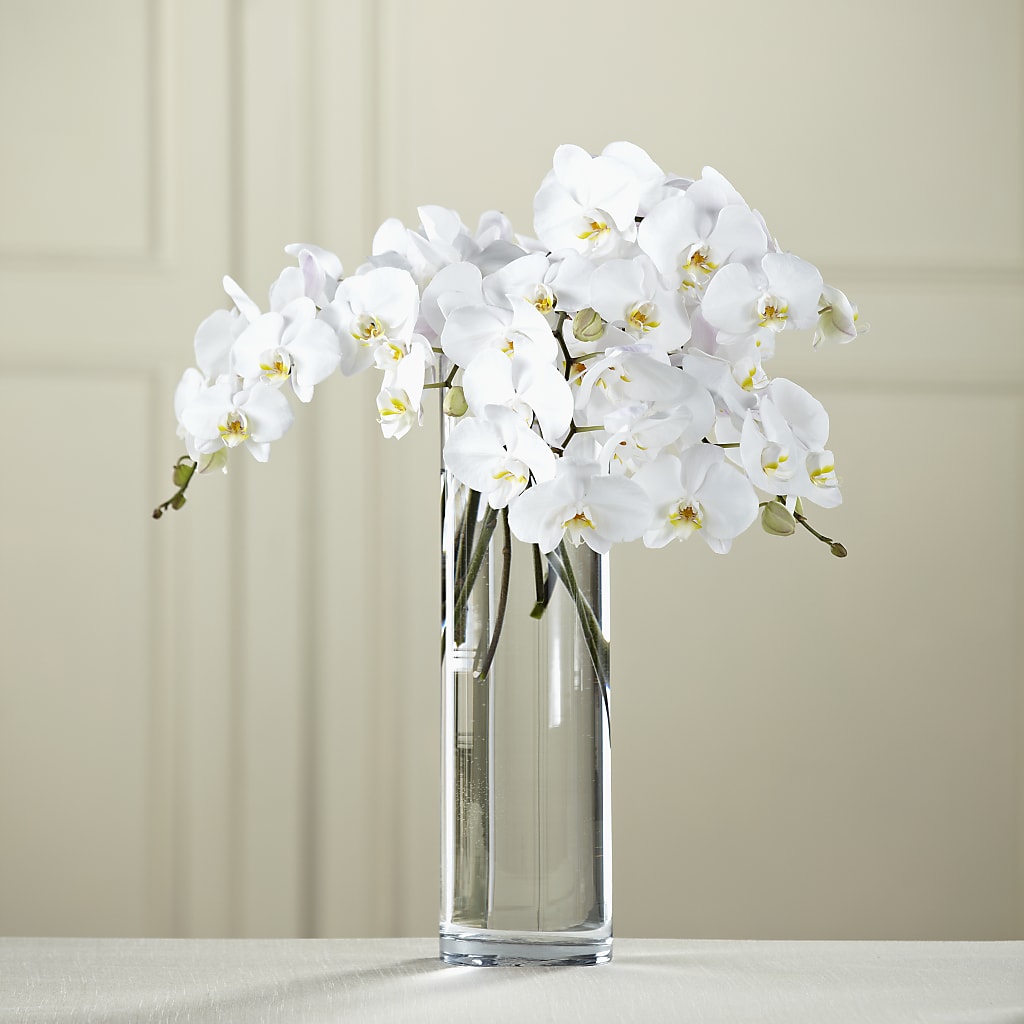 White Phalaenopsis Bouquet –  Talia Flowers, Ottawa ON