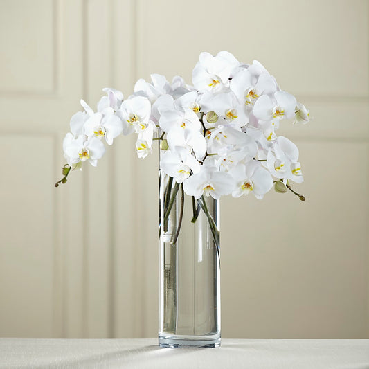 White Phalaenopsis Bouquet –  Talia Flowers, Ottawa ON