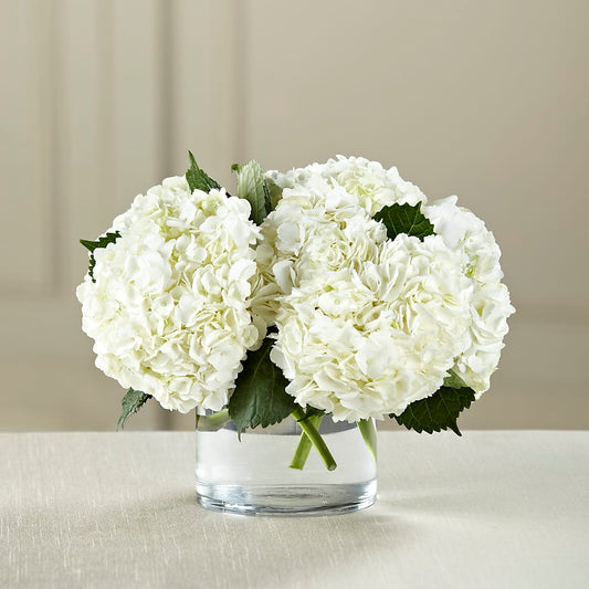 White Hydrangea Bouquet –  Talia Flowers, Ottawa ON